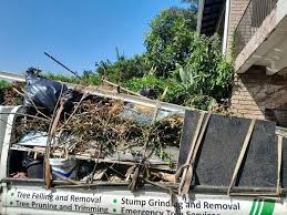 Best Electronics and E-Waste Disposal  in Scotland Neck, NC